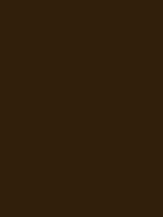 1981-Ford-Mustang-Medium-Dark-Brown.png