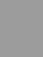 1981-Ford-Mustang-Silver.png