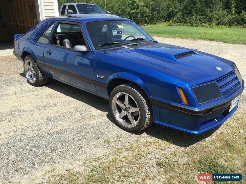 Medium Blue Glow 1982 Ford Mustang