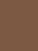 1983-Ford-Mustang-Desert-Tan-Glow.png