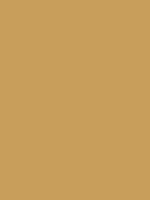 1983-Ford-Mustang-Light-Desert-Tan.png