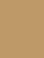 1984-Ford-Mustang-Light-Desert-Tan.png