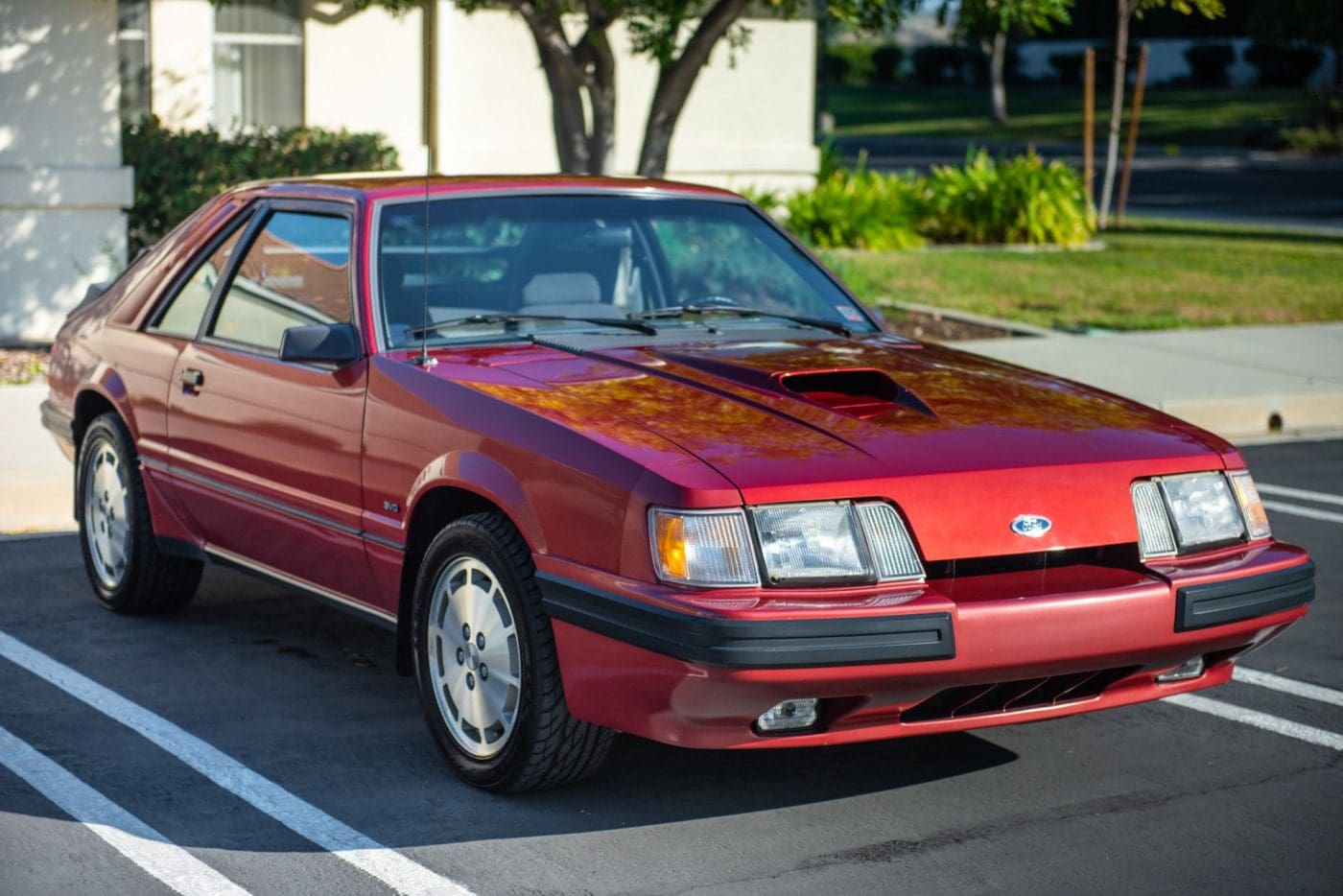 Medium Canyon Red 1984 Ford Mustang