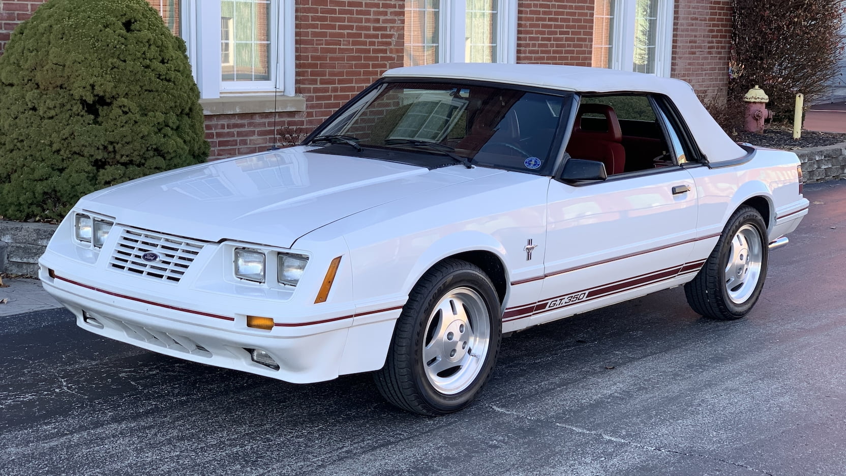 1984 Mustang Colors