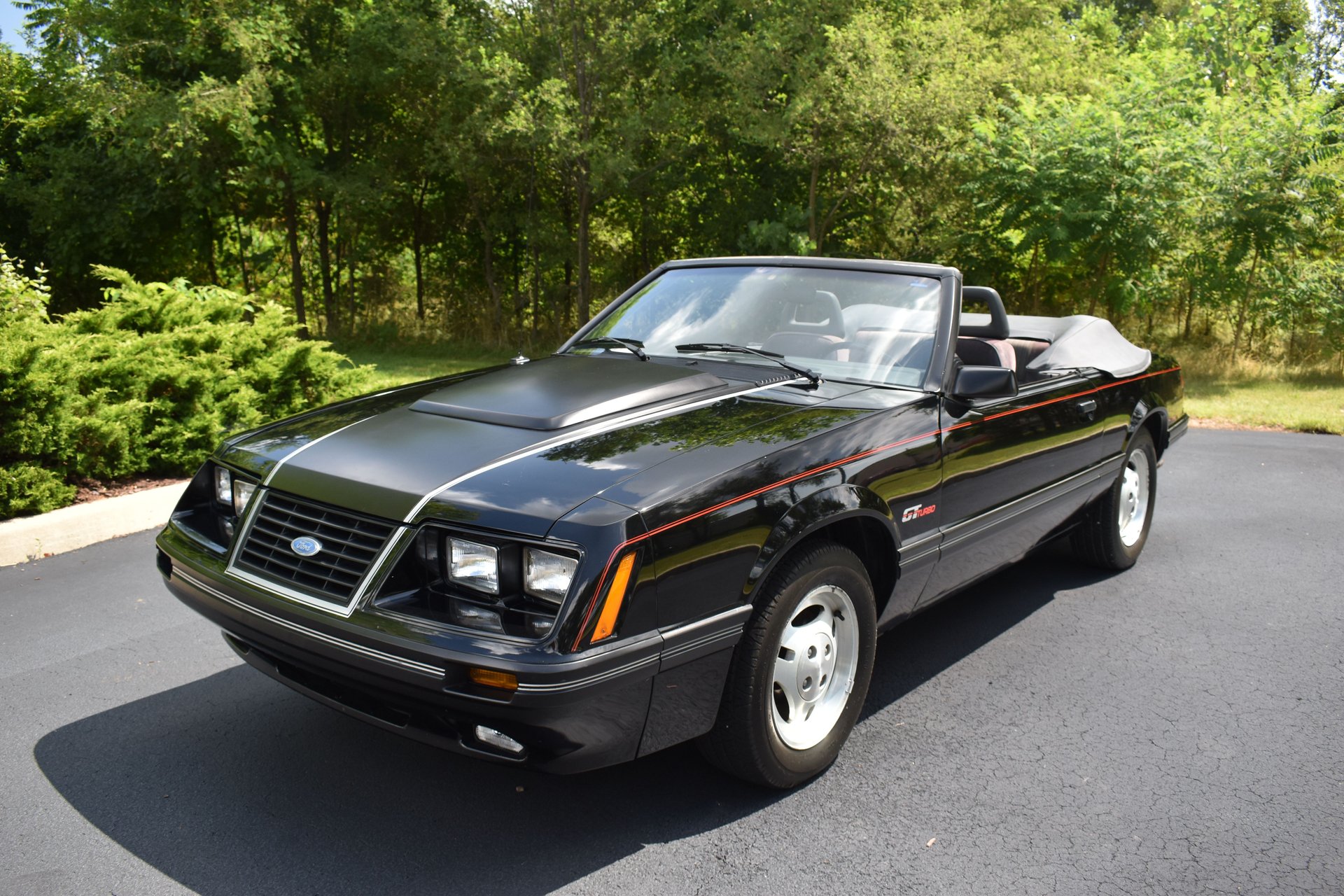Dark Charcoal 1984 Ford Mustang