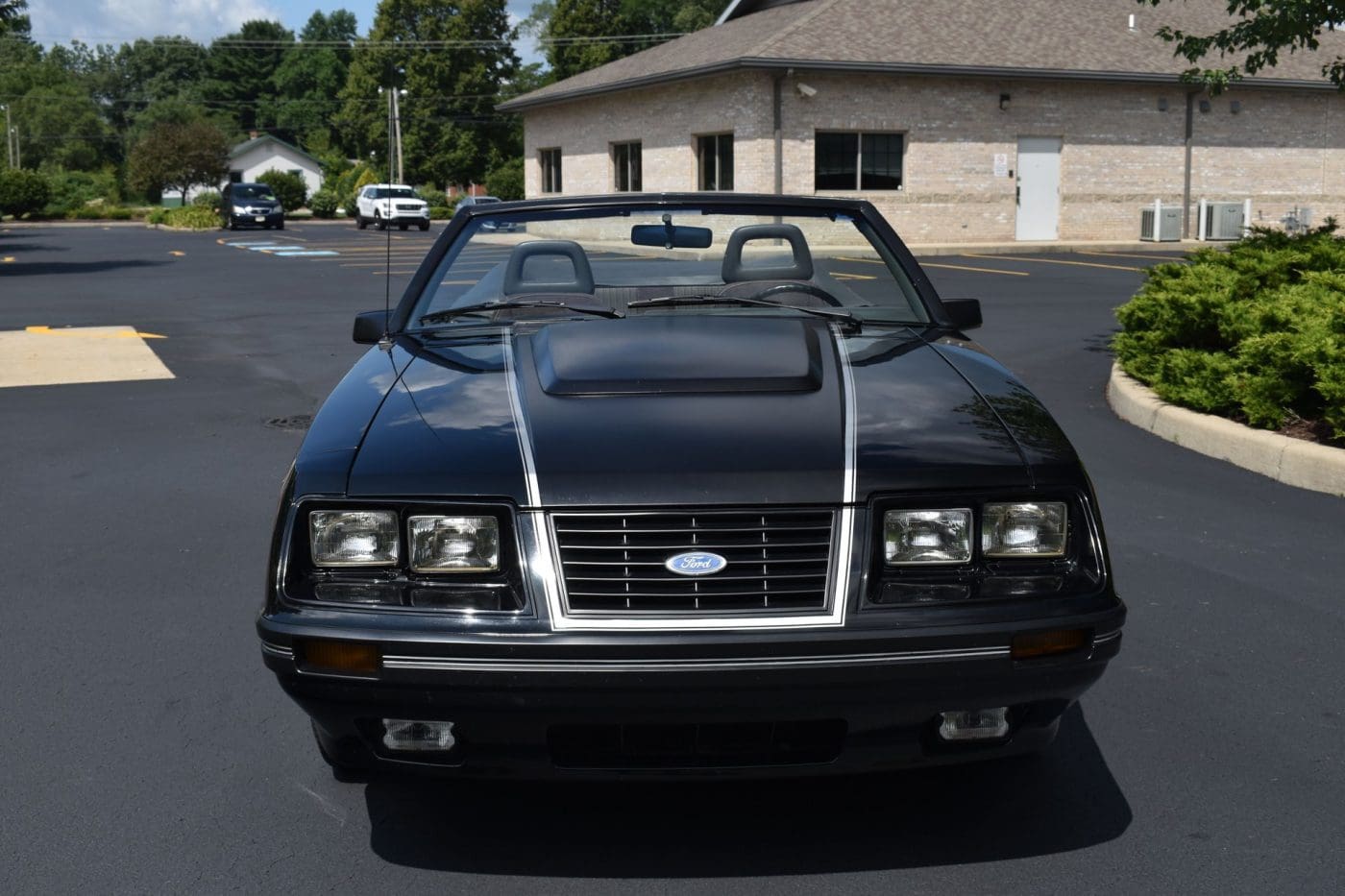 Dark Charcoal 1984 Ford Mustang