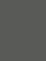 1988-Ford-Mustang-Dark-Gray.png