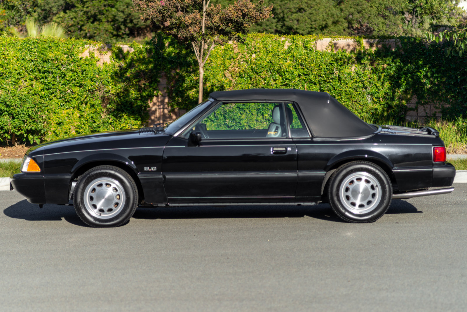 Black 1989 Ford Mustang