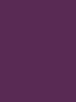 1996-Ford-Mustang-Deep-Violet.png
