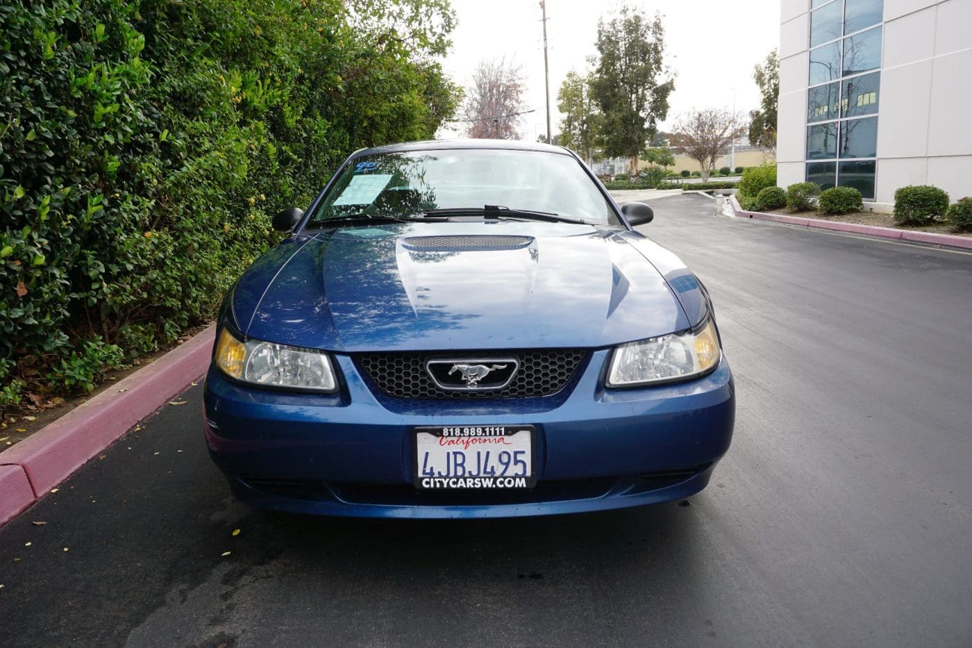 Atlantic Blue 2000 Ford Mustang