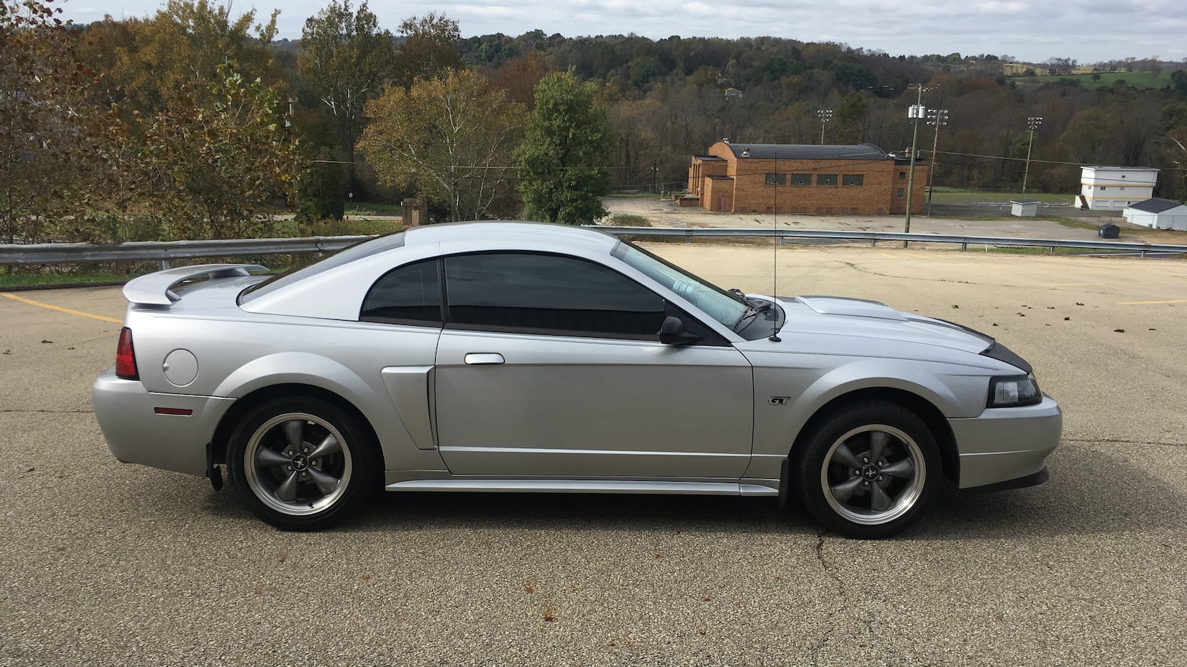 2003 Mustang Color Information