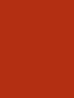 2004-Ford-Mustang-Competition-Orange.png