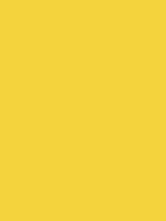 2006-Ford-Mustang-Screaming-Yellow.png