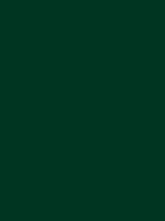 2008-Ford-Mustang-Highland-Green.png