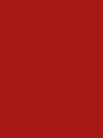 2008-Ford-Mustang-Torch-Red.png