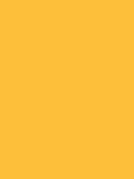 2013-Ford-Mustang-School-Bus-Yellow.png
