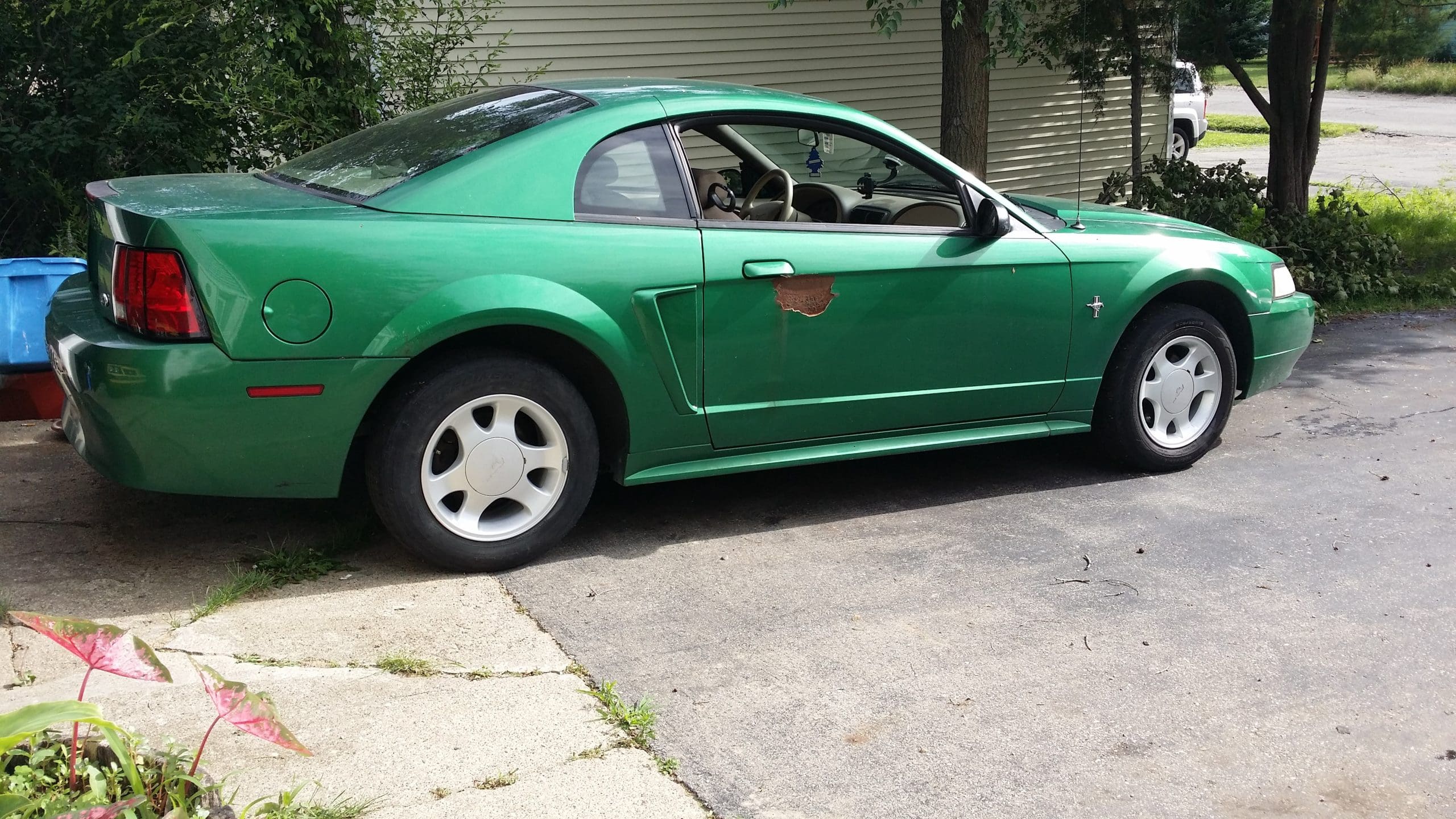 Tropic Green 2002 Ford Mustang