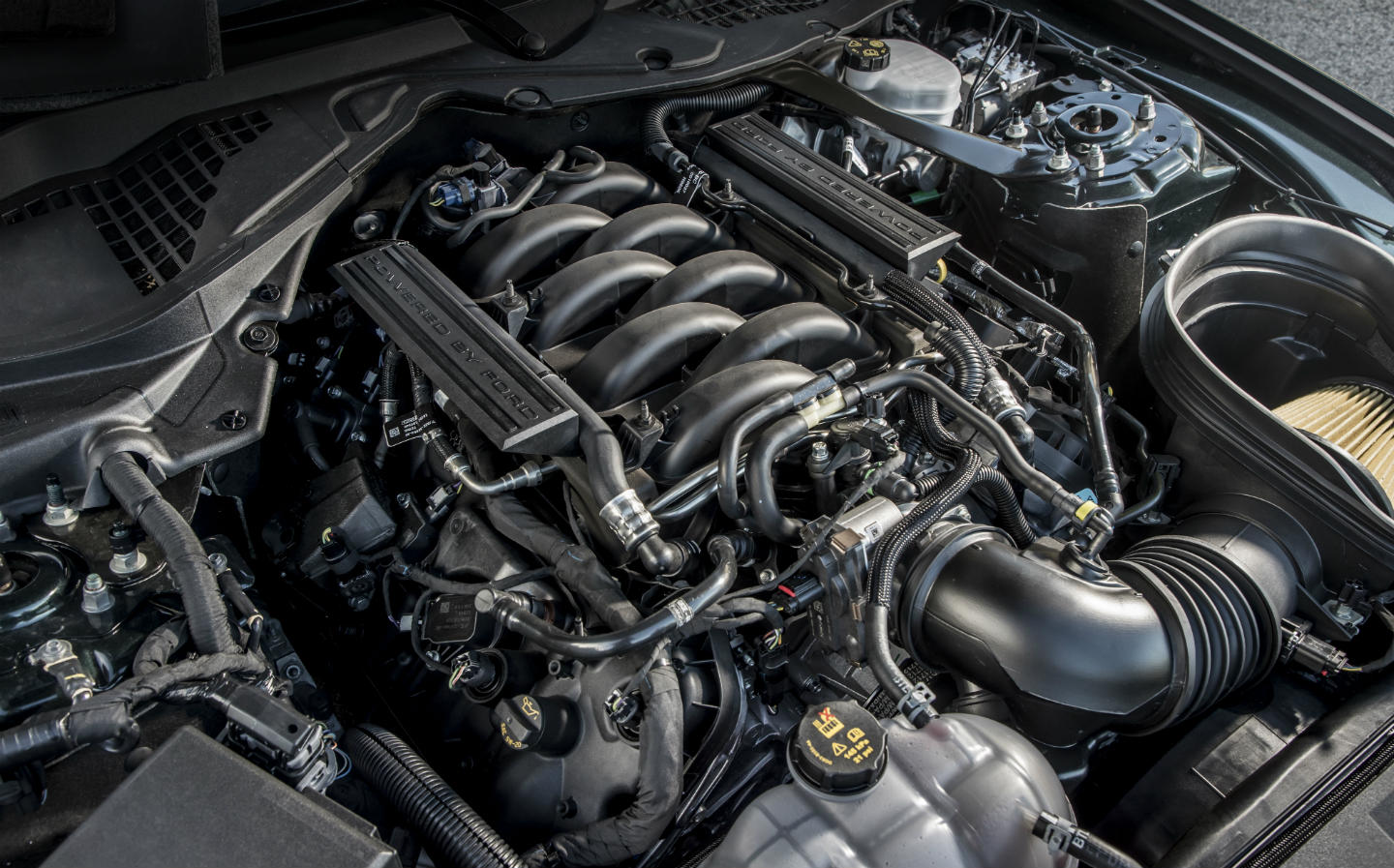 2019 Mustang Engine Information & Specs - 302 Coyote V8 (5.0 L)