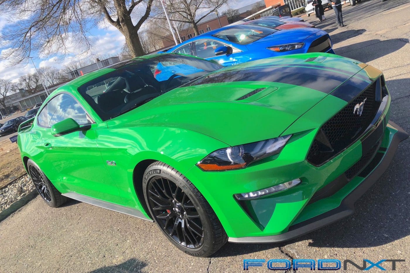 Need for Green 2019 Ford Mustang