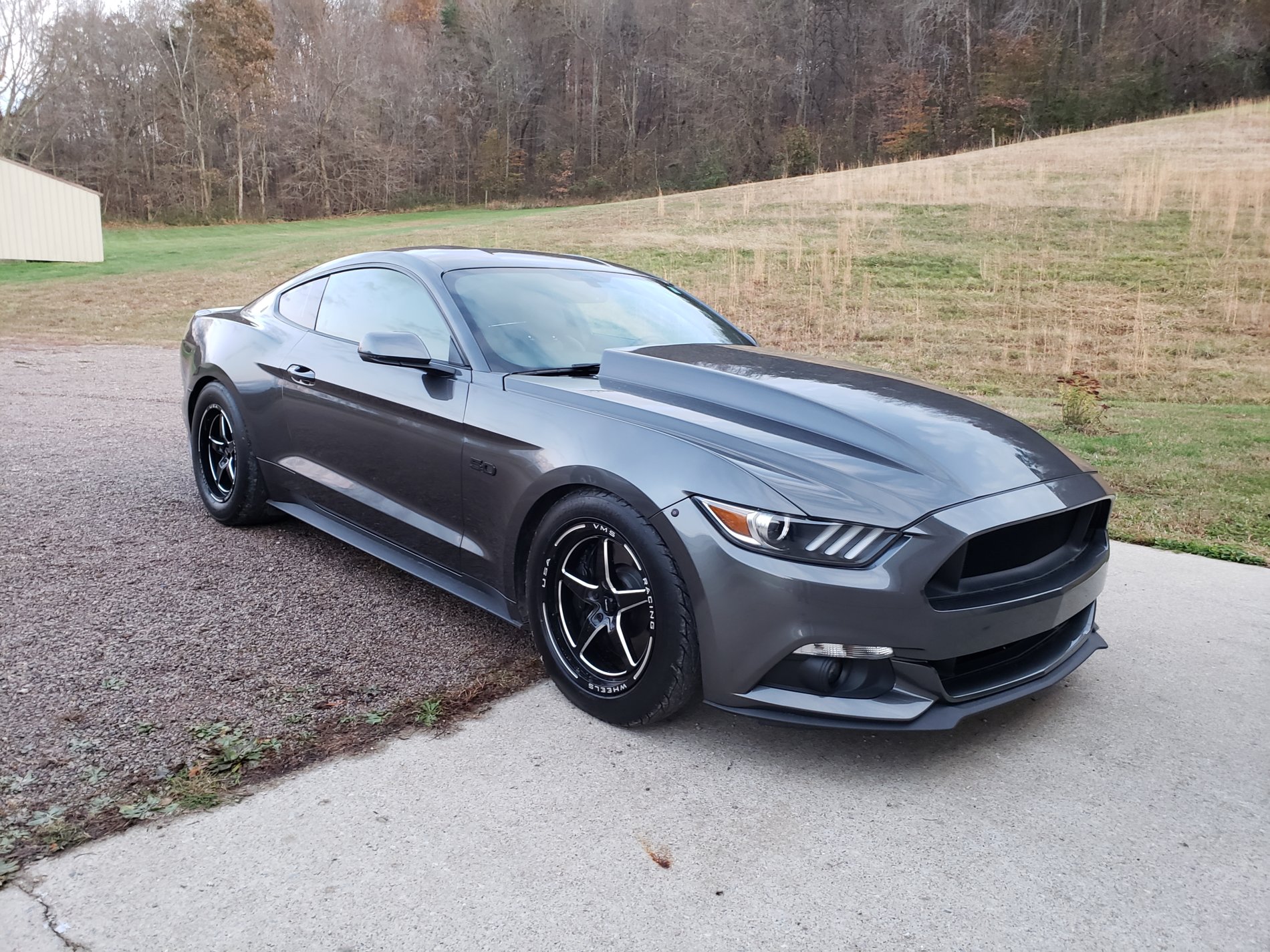 Magnetic 2015 Ford Mustang