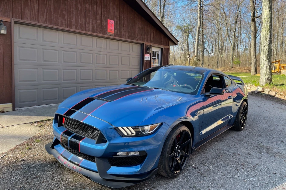 Performance Blue 2019 Ford Mustang