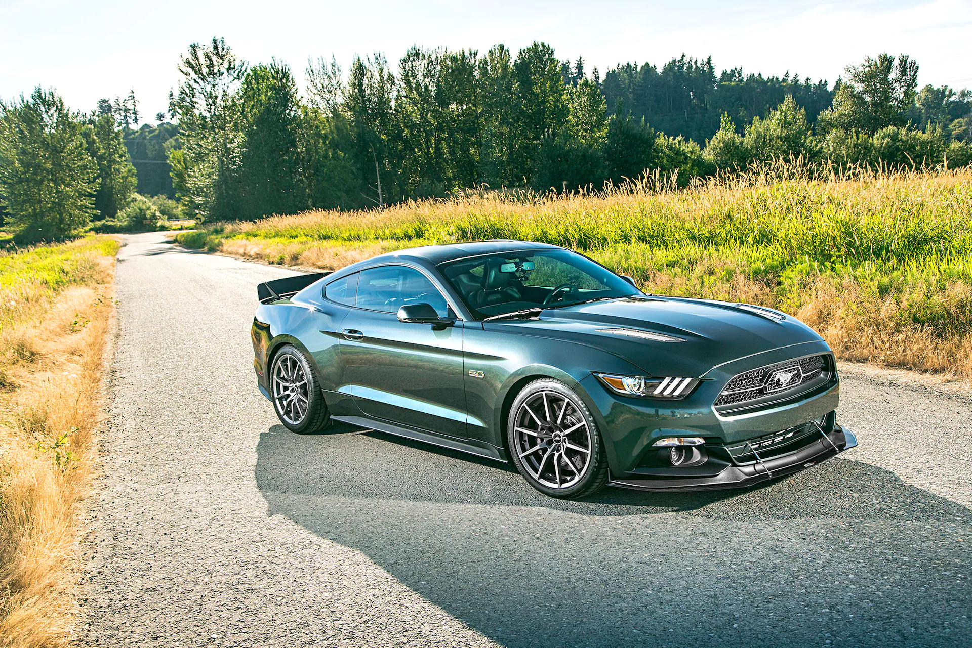 Guard 2015 Ford Mustang