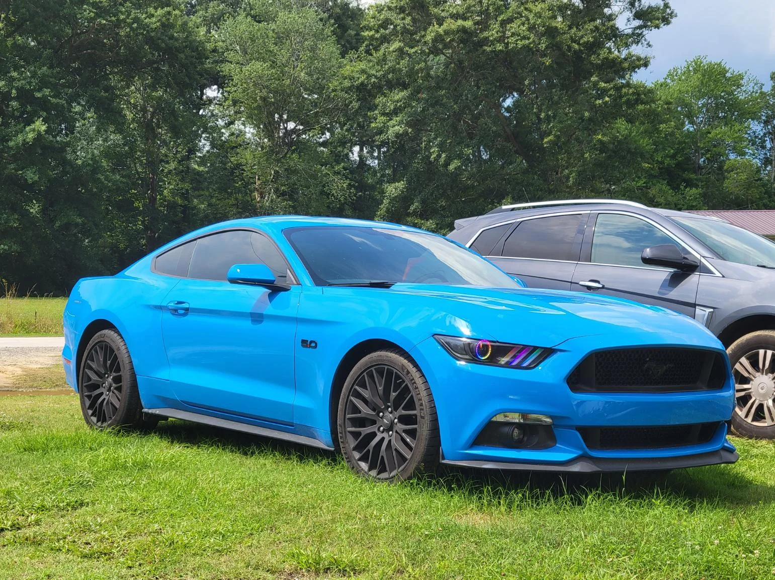 Grabber Blue 2017 Ford Mustang