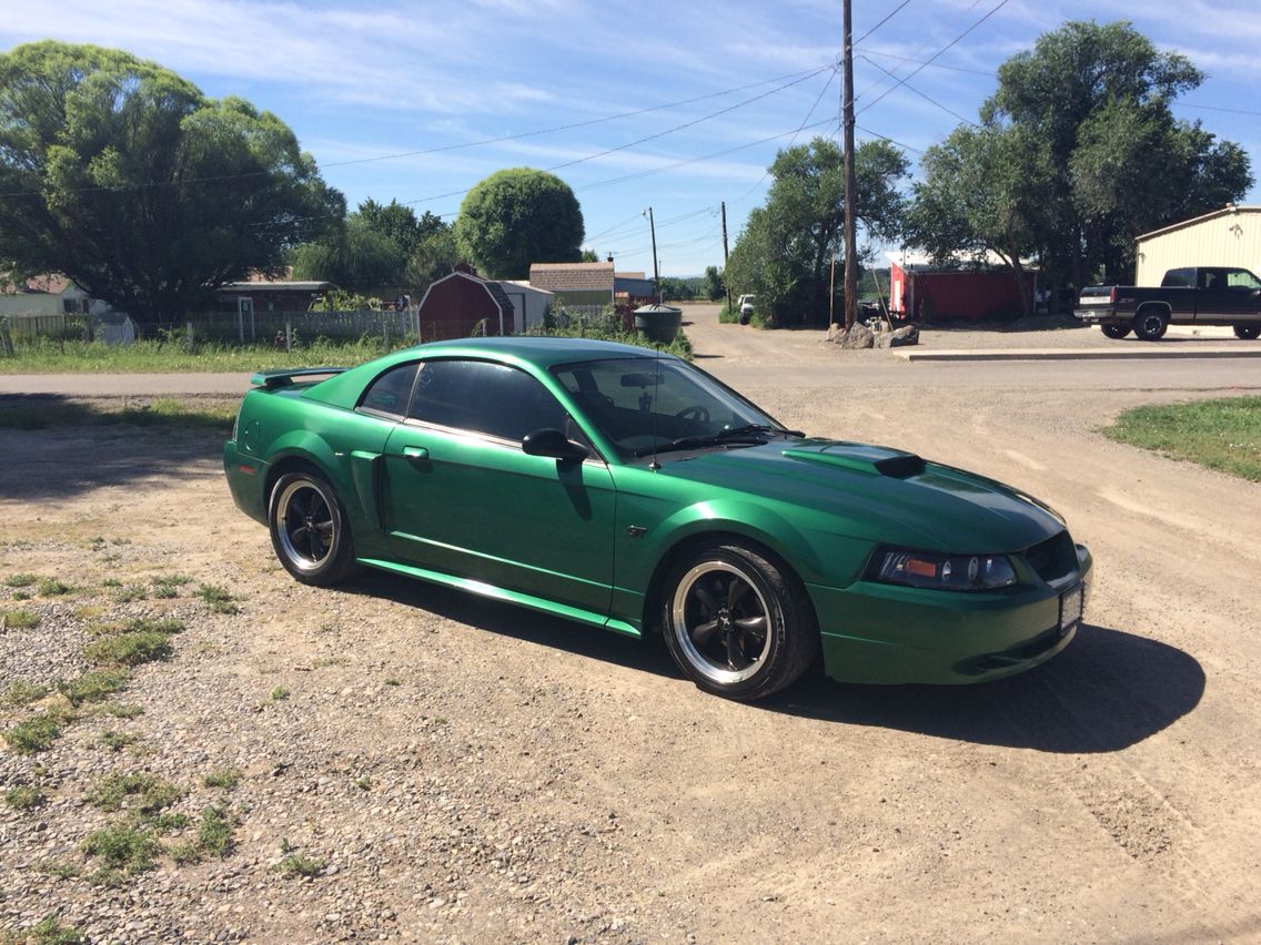 Tropic Green 2003 Ford Mustang