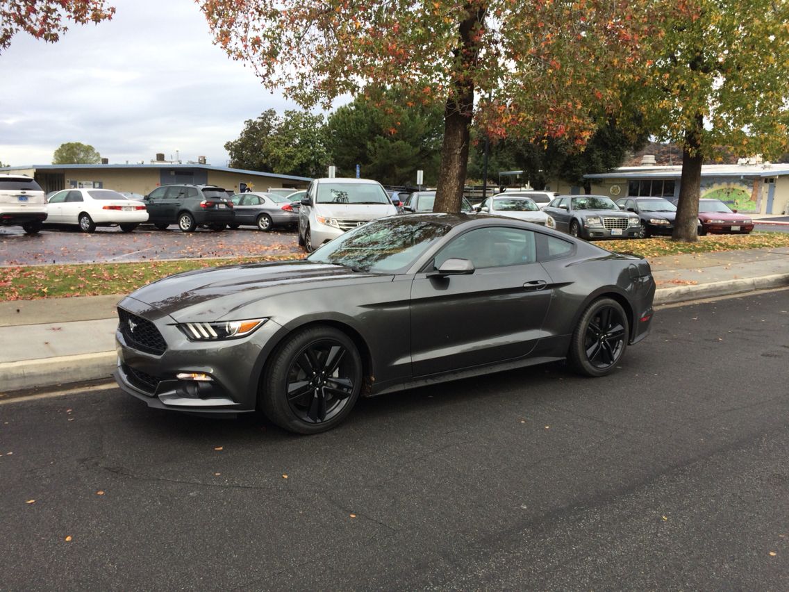 Magnetic 2015 Ford Mustang