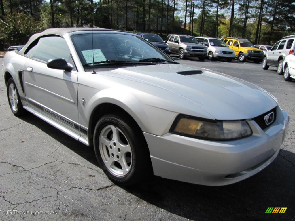 Satin Silver 2003 Ford Mustang