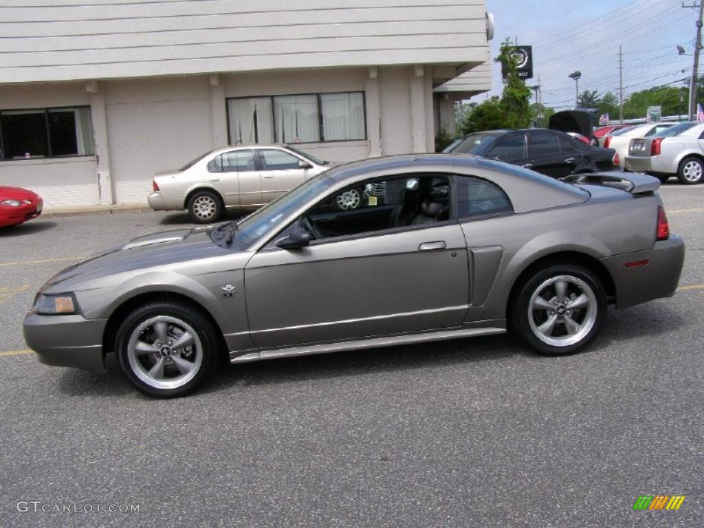 Mineral Gray 2001 Ford Mustang