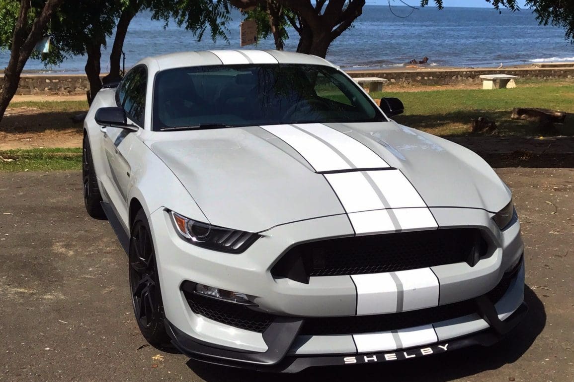 Gray Mustang Colors The Ultimate Guide