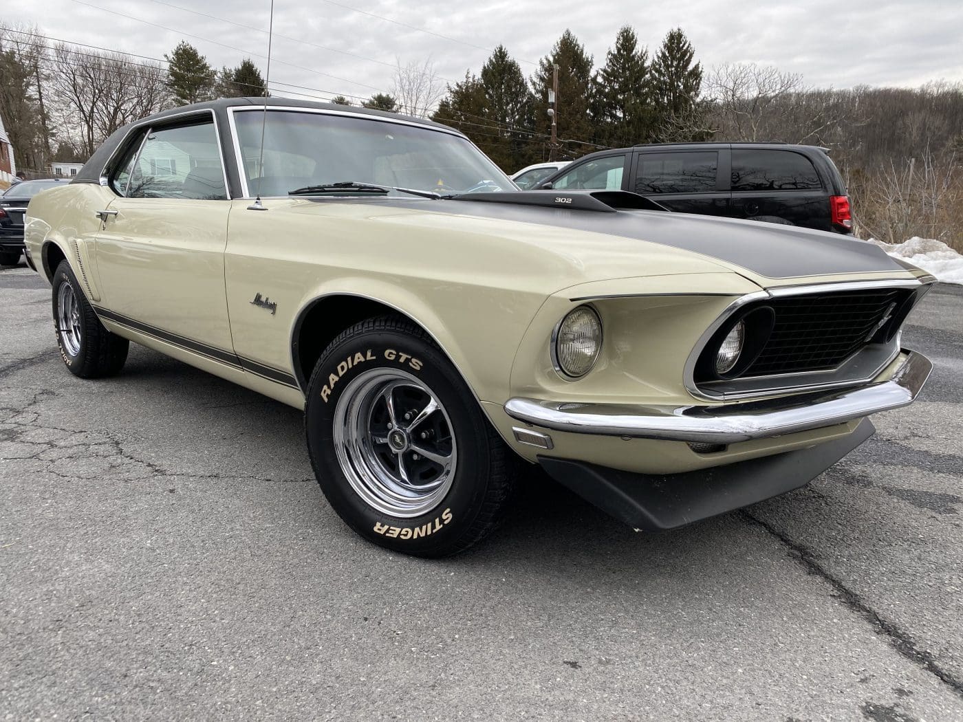 Whipped Cream 1969 Ford Mustang