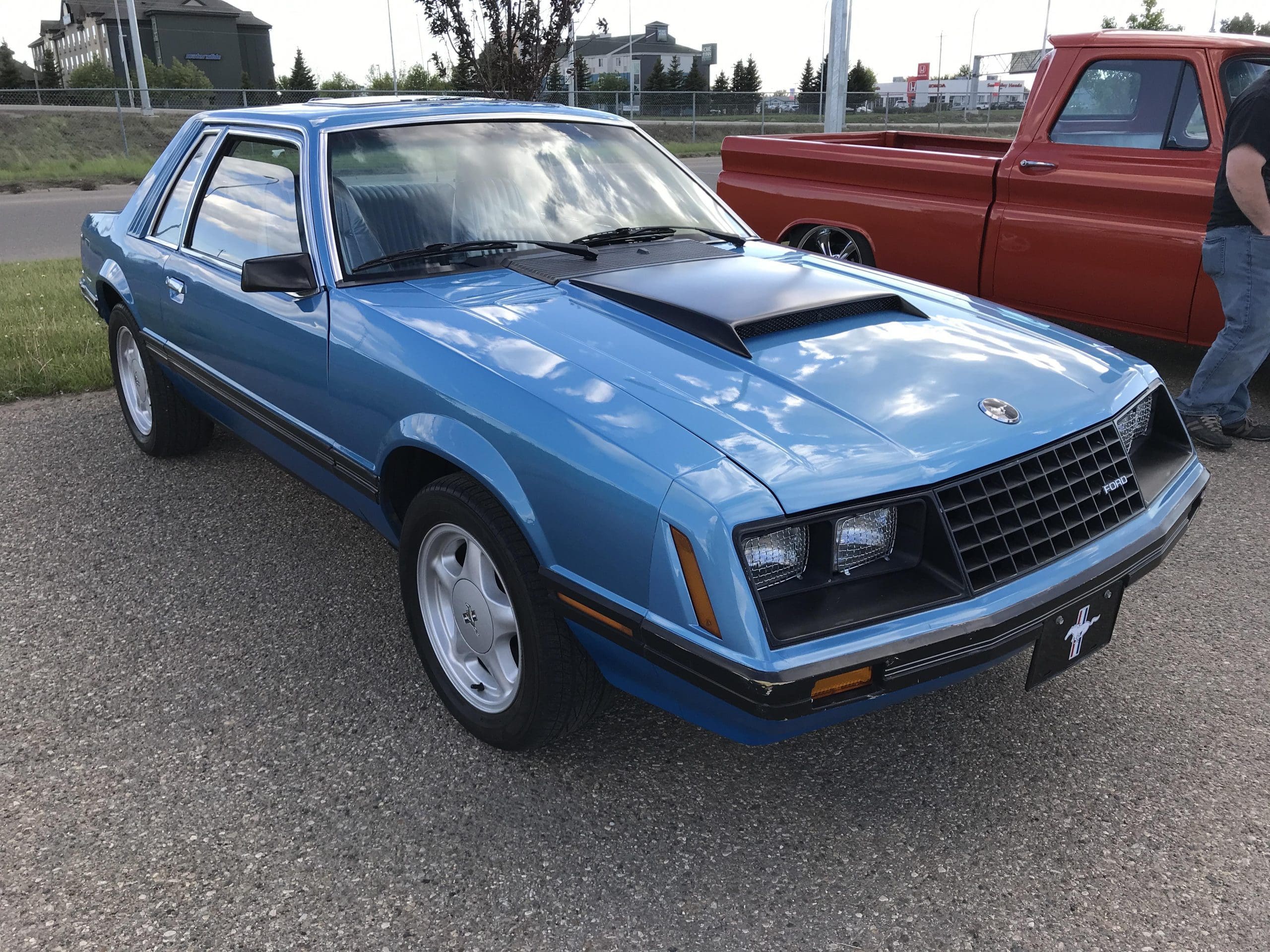 Medium Blue 1980 Ford Mustang