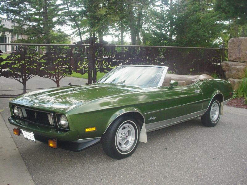 Green Glow (Medium Ivy Bronze) 1974 Ford Mustang