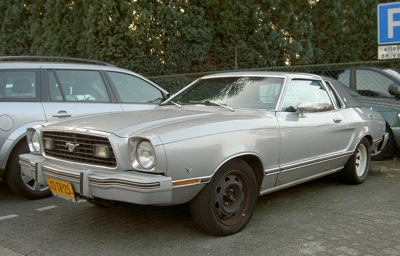 Silver 1976 Ford Mustang