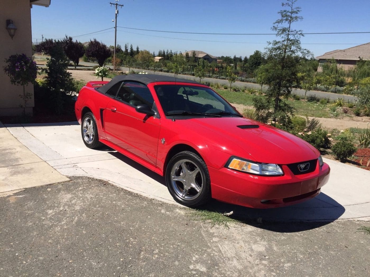 Rio Red 1999 Ford Mustang