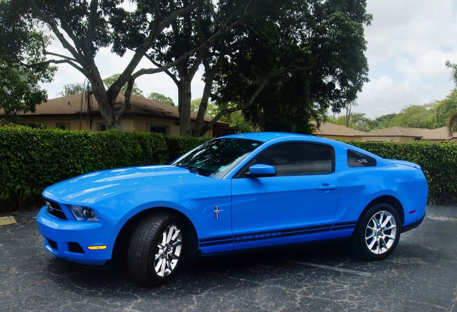 grabber blue mustang grabber blue mustang