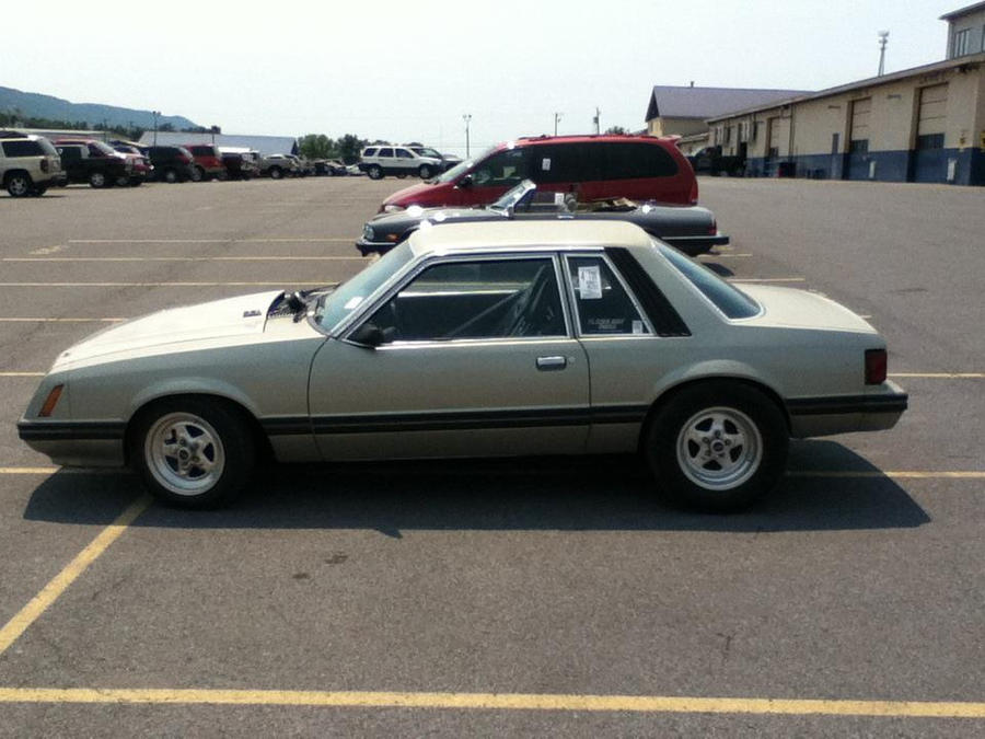 Polar White 1981 Ford Mustang