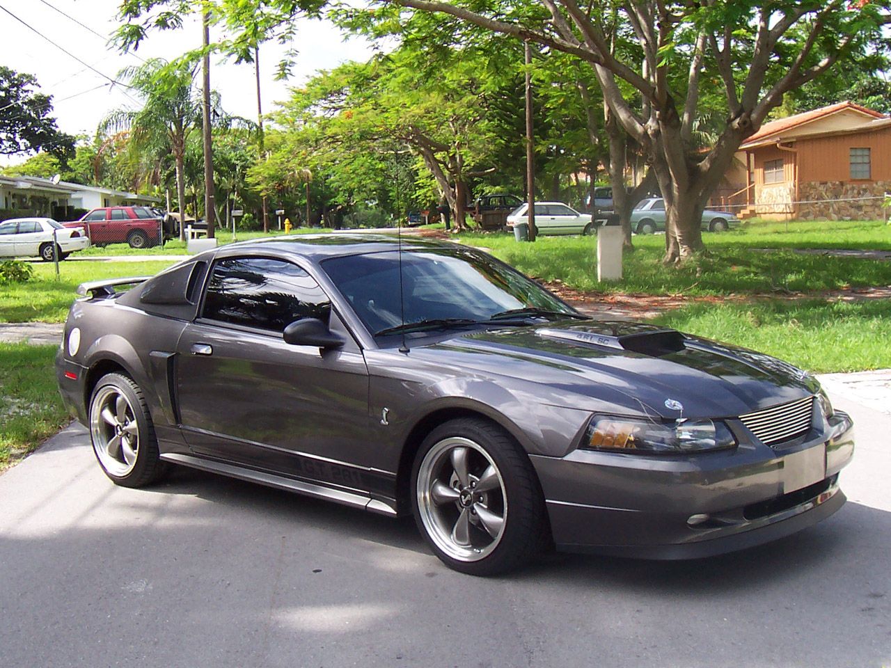 Mineral Gray 2003 Ford Mustang