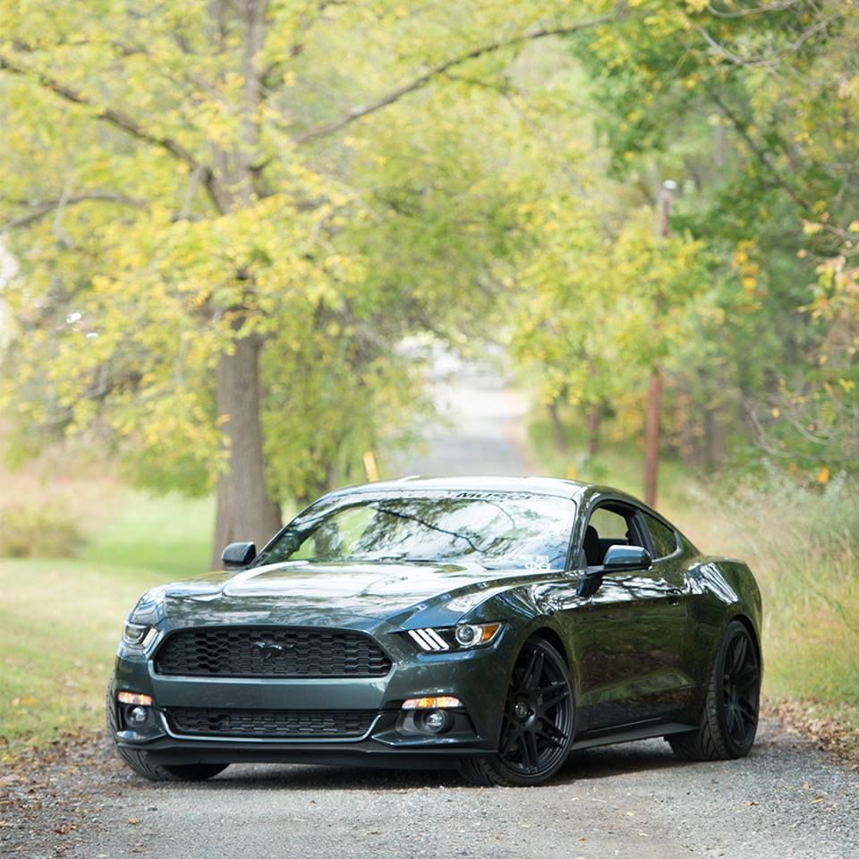 Guard 2015 Ford Mustang