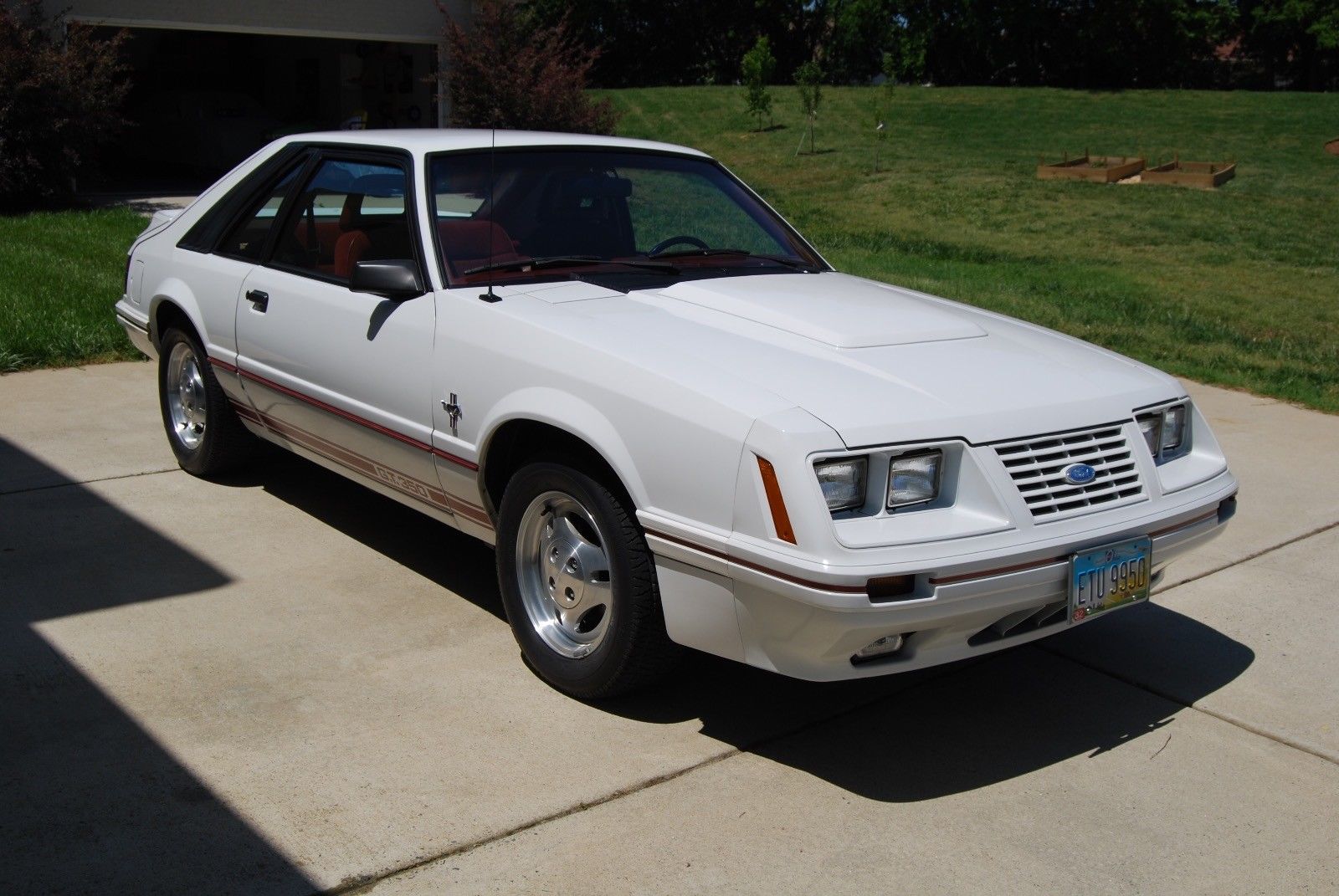 Oxford White 1984 Ford Mustang