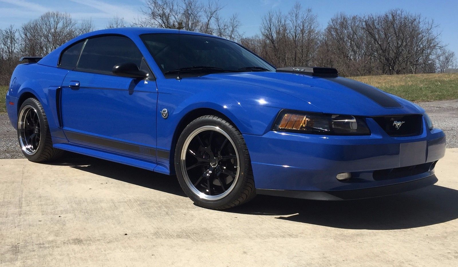 Ford Mustang 2004