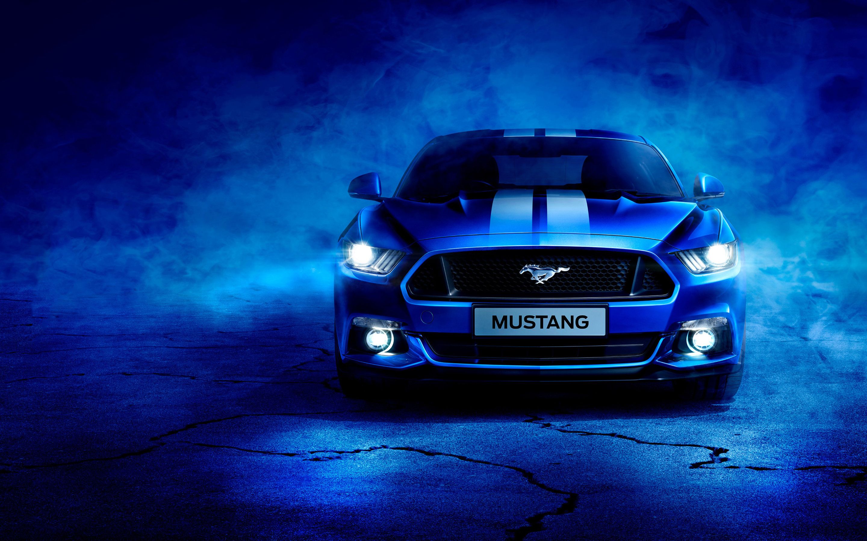 Blue Mustang Colors & Pictures
