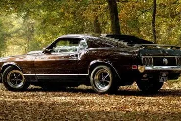 Brown Mustang Colors