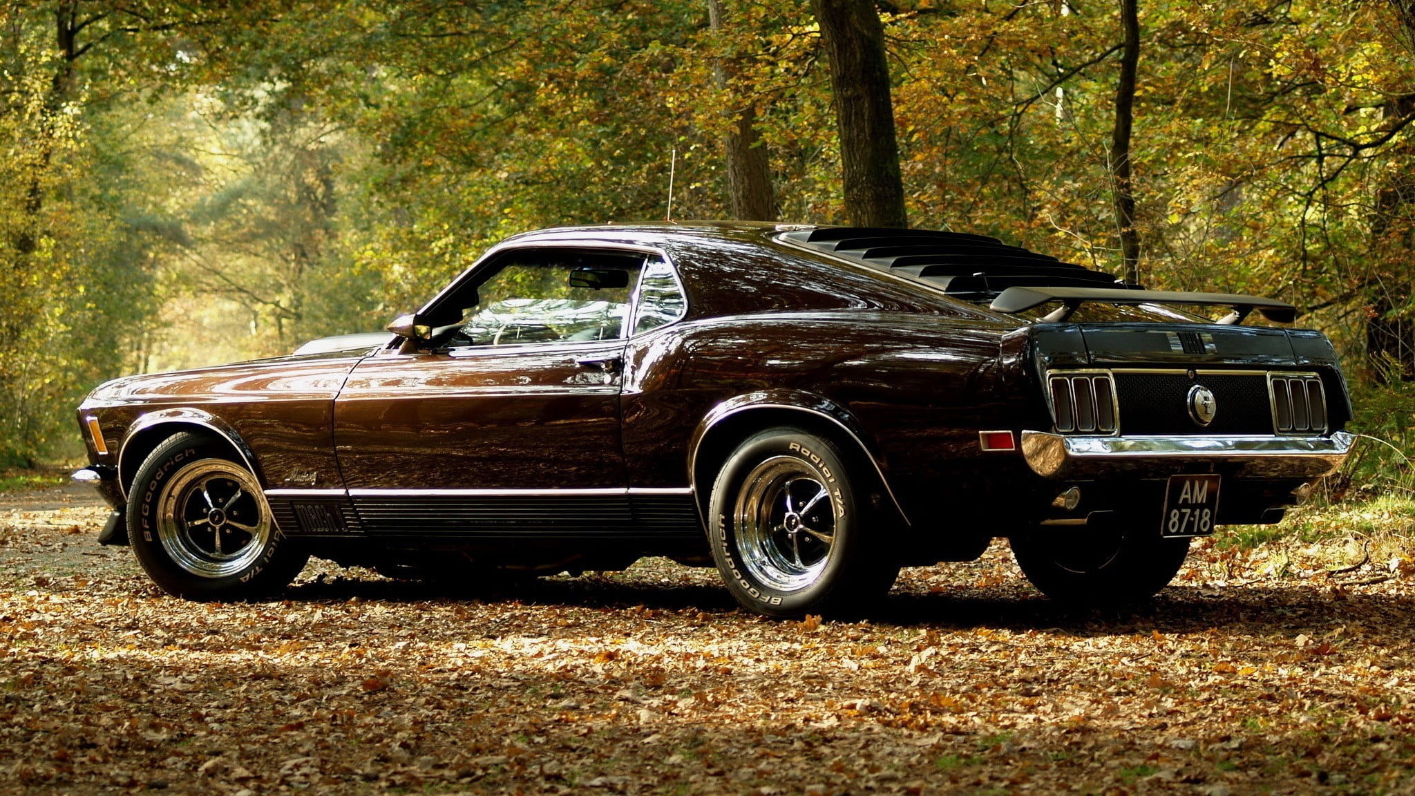 Brown Mustang Colors