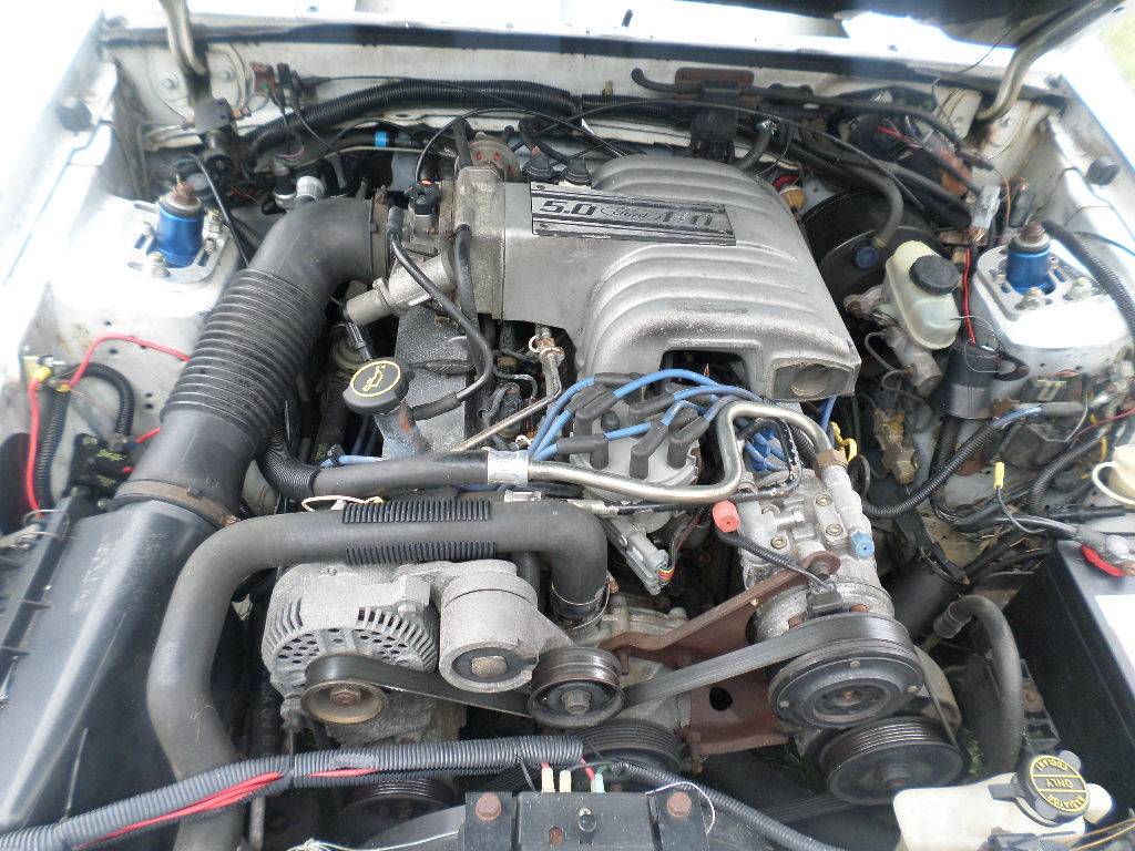 1988 Mustang 5.0 engine