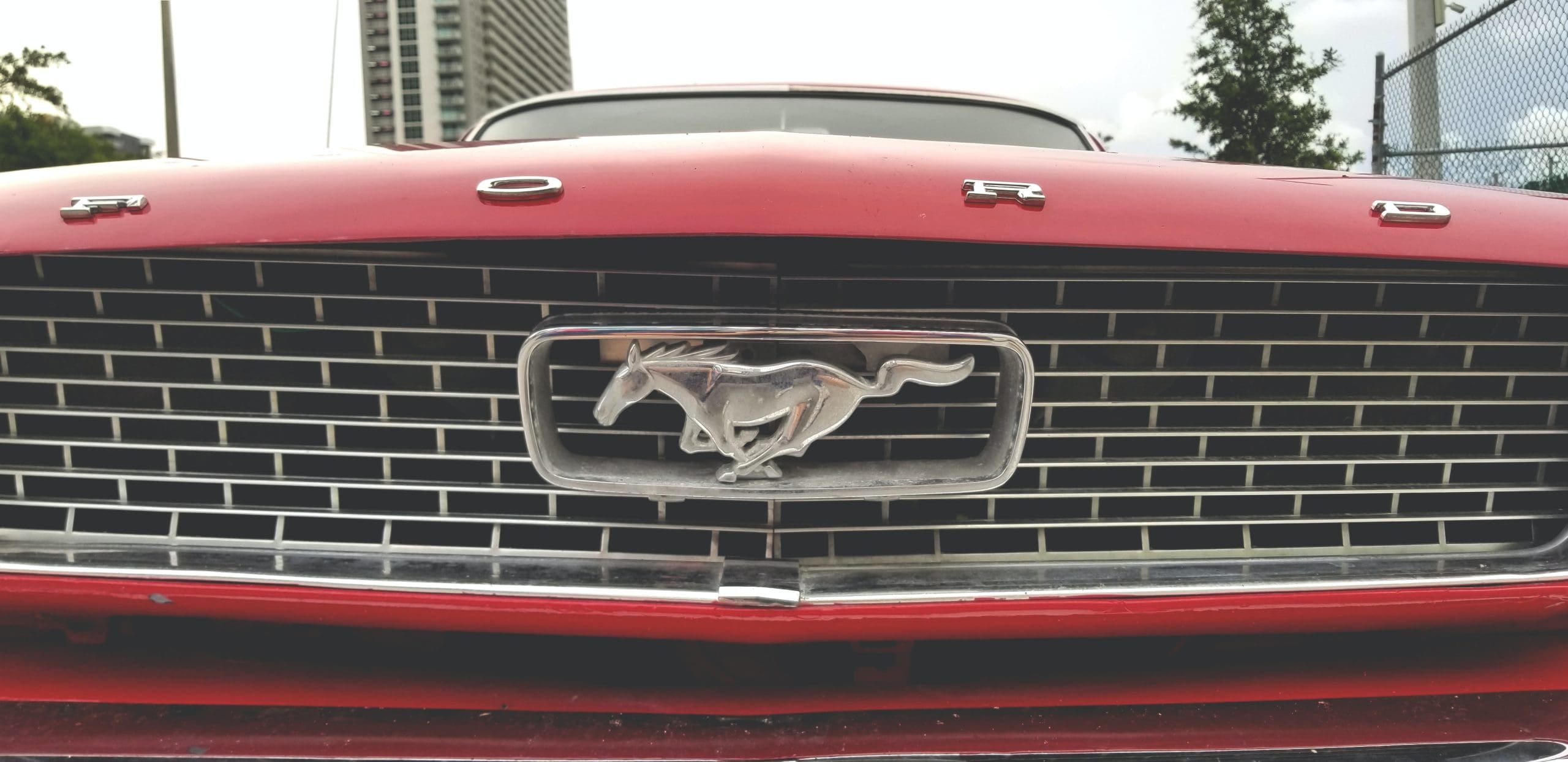 Free Mustang Sales Brochures