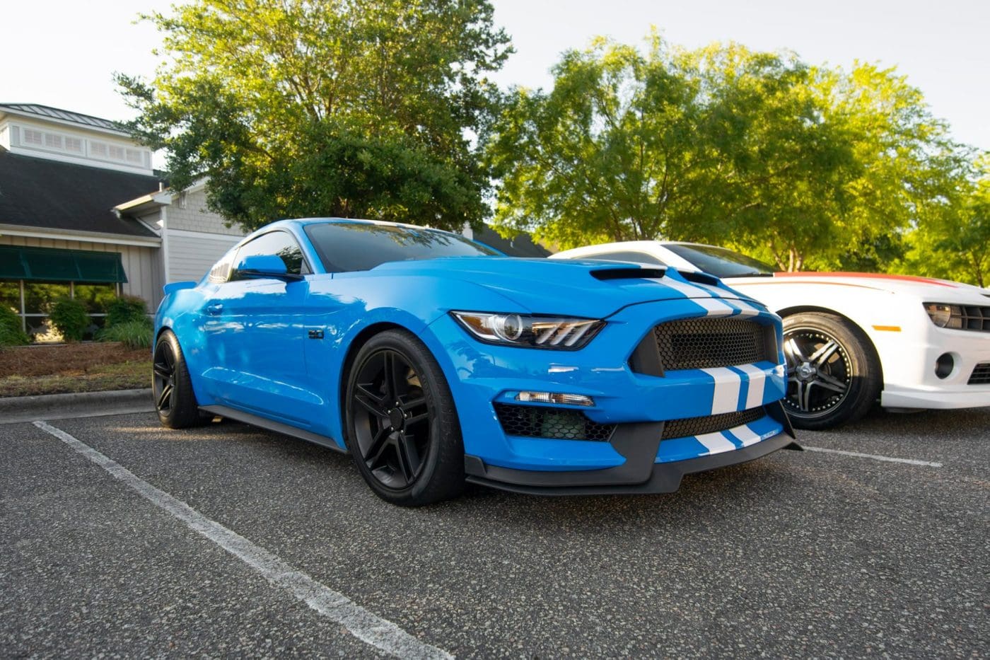 Grabber Blue 2017 Ford Mustang