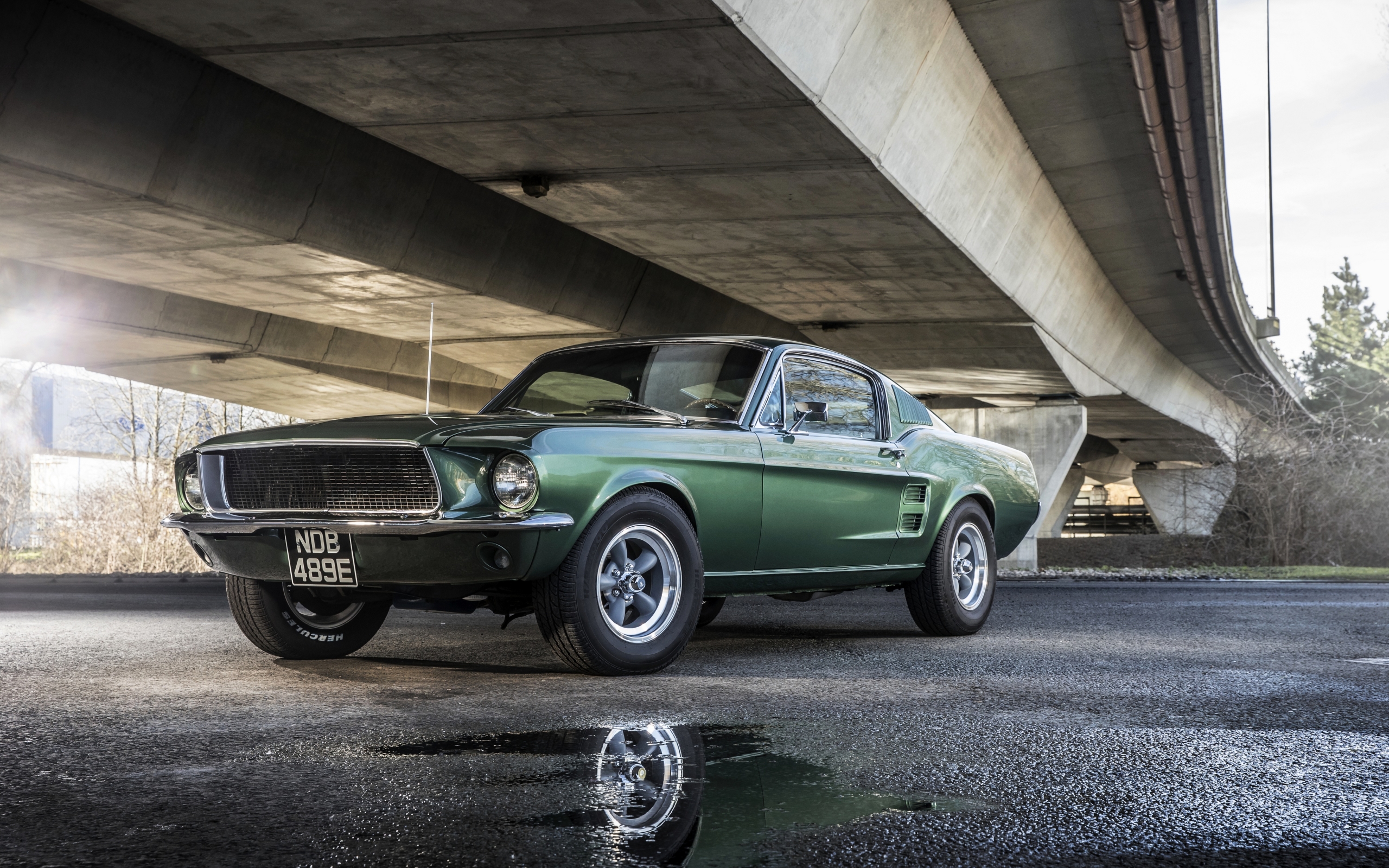 Green Mustang Colors